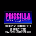 Priscilla Queen of the Desert in Manchester