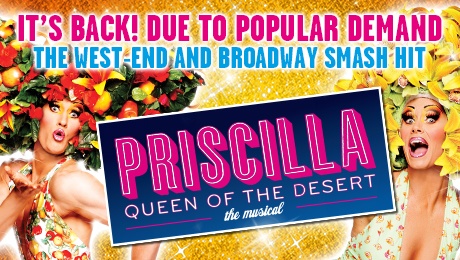 Priscilla Queen of the Desert 2015 UK Tour